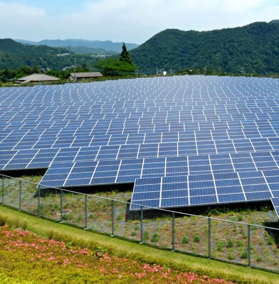 AdobeStock_84366185-1